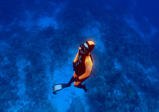 Advanced Freediver