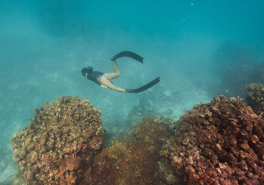 Freediver