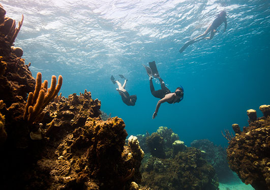 Snorkeler